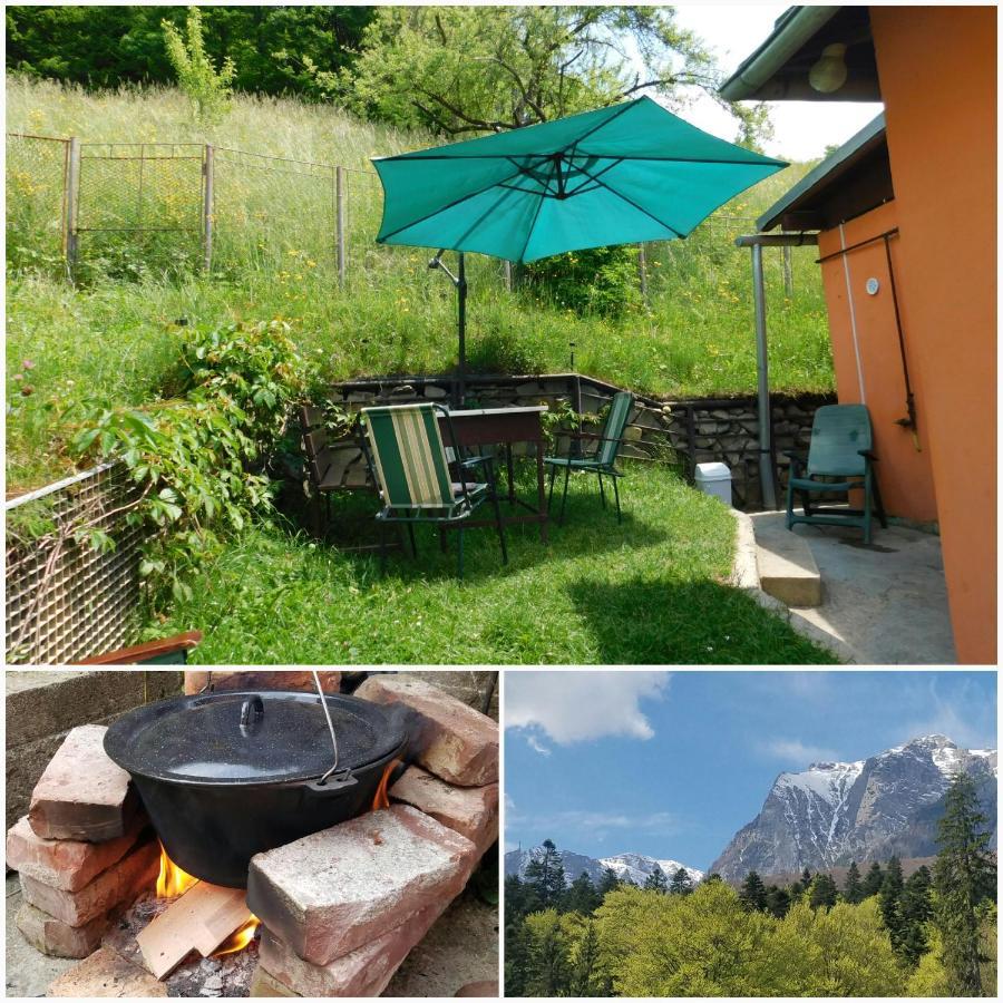 Casa Tex Villa บุชเตนี ภายนอก รูปภาพ