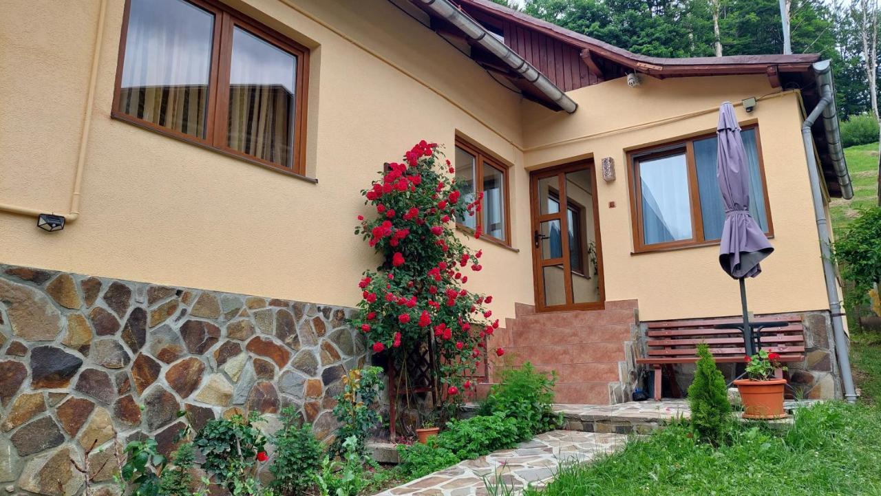 Casa Tex Villa บุชเตนี ภายนอก รูปภาพ